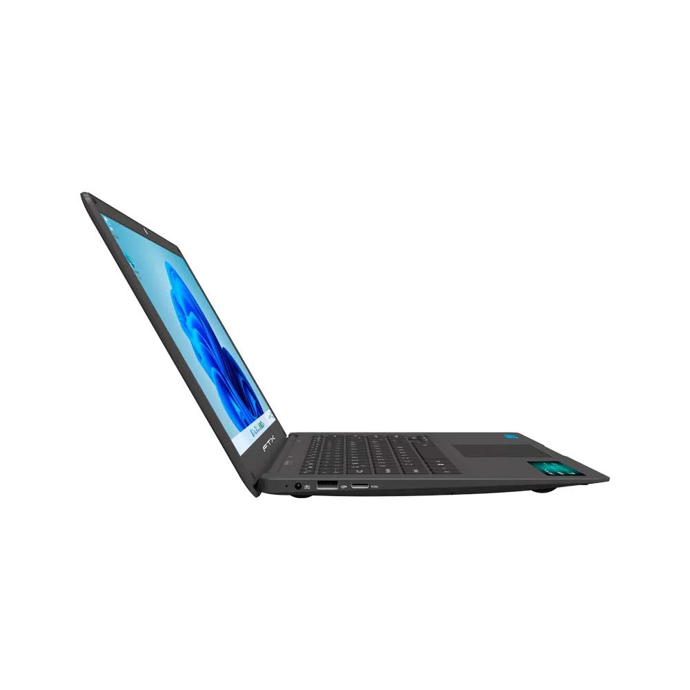 NOTEBOOK FTX N14-C2564ES CEL 1.1/4G/256SSD/W11H/14" HD/RJ-45/NEGRO + FUNDA - Vista 4