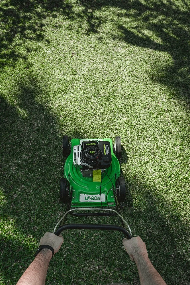 Cortacésped Trapp de empuje con carcasa verde, motor a gasolina, cuatro ruedas y descarga lateral sin bolsa. - Vista 2