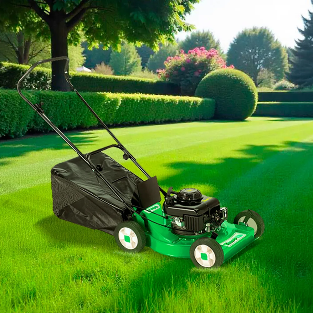Cortacésped Trapp de empuje con carcasa verde, motor a gasolina y bolsa recolectora trasera negra. - Vista 2