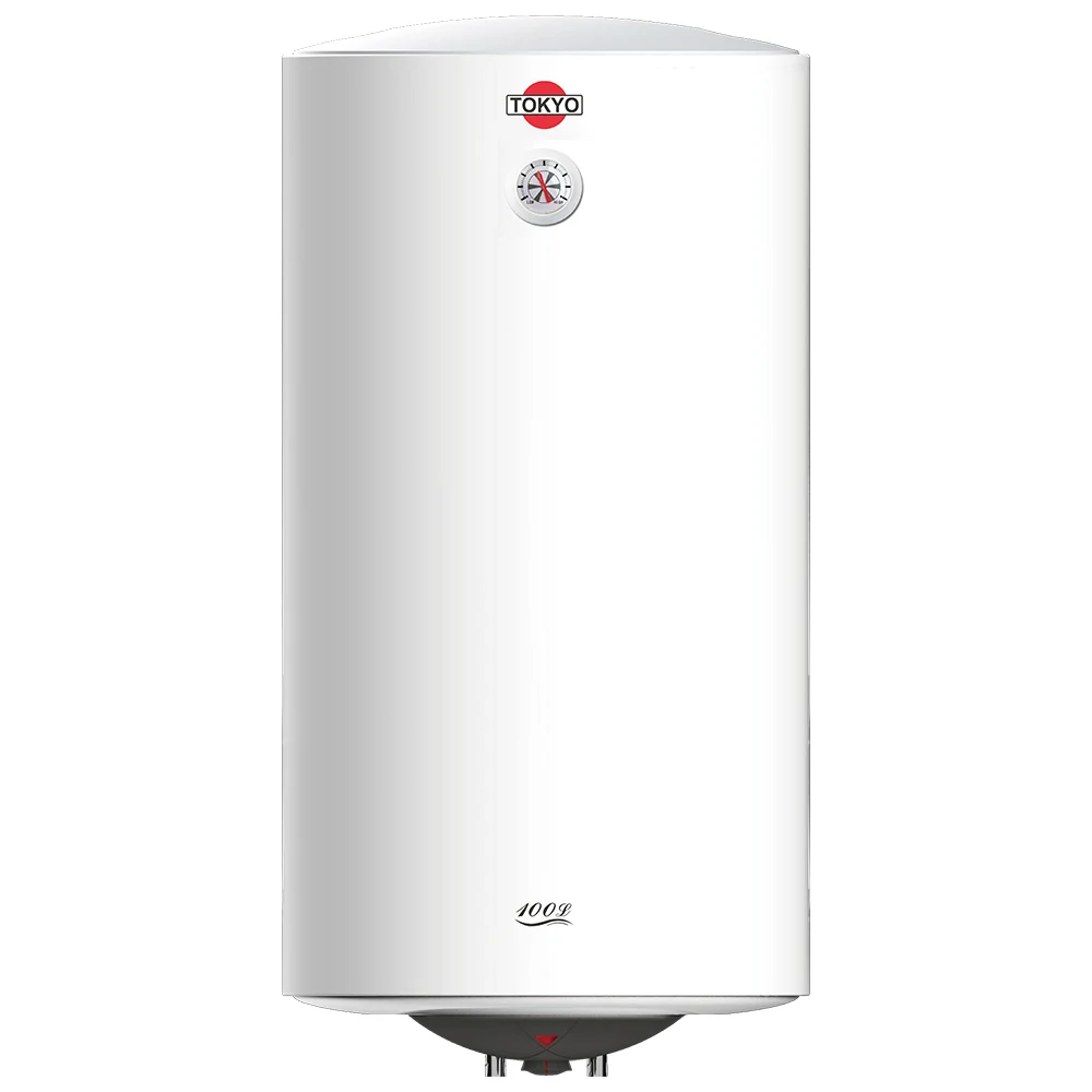 Termotanque eléctrico vertical Tokyo D10015F3-NV de 100 litros, 1500 W